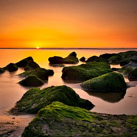 Zonsondergang Sunset Katwijk aan Zee Nederland van Wim van Beelen