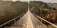 Hängebrücke Geierlay an einem sehr ruhigen Tag von Robin Giesen Miniaturansicht