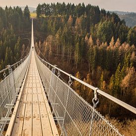 Hängebrücke Geierlay an einem sehr ruhigen Tag von Robin Giesen
