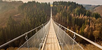 The Geierlay suspension bridge on a very quiet day by Robin Giesen
