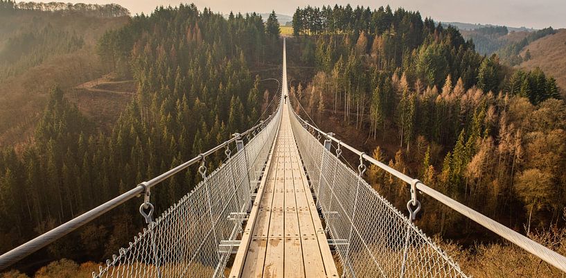 Hängebrücke Geierlay an einem sehr ruhigen Tag von Robin Giesen