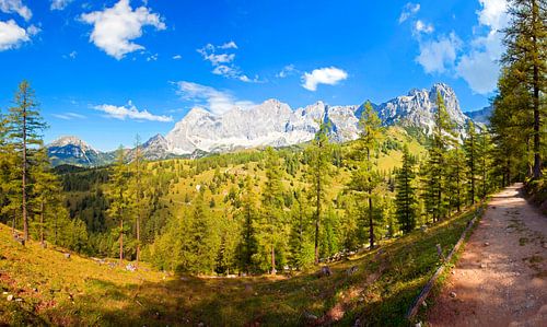 Le chemin mène au massif du Dachstein