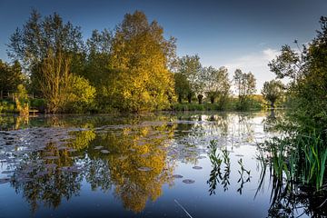 Spring reflection by Wim van D