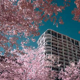 pond tower van Pieter Heine