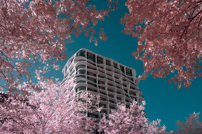 pound tower by Pieter Heine