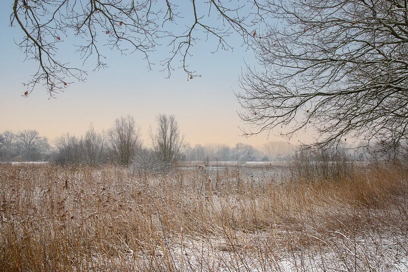 Schouselbroek van Veerle Beeckmans