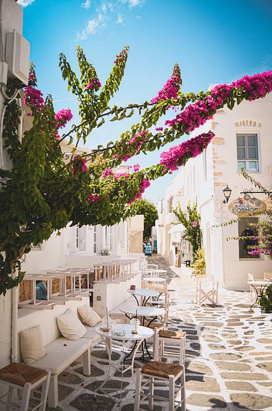 Instant vakantiegevoel op Paros, Griekenland van Daphne Groeneveld