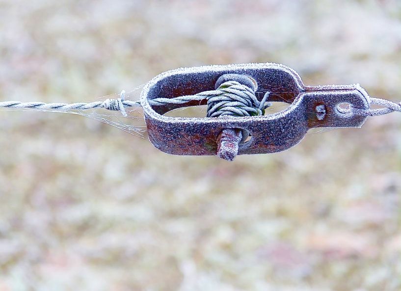 Cold-Rush (Wire tensioner near Meadow) by Caroline Lichthart