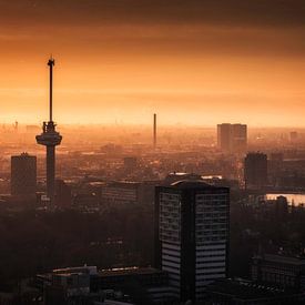 The Euromast, Rotterdam by Anthony Malefijt