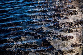 Waar land en water in elkaar overgaan.