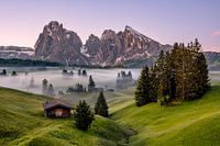 Frühlingsmorgen auf der Seiser Alm in Südtirol