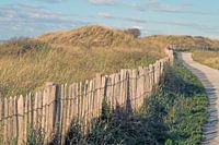 Cornering in the dunes of Egmond aan Zee