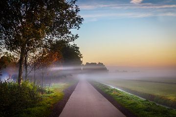 Misty morning von Jaap Terpstra