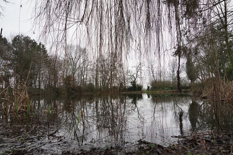 Fishpond by F. van extergem