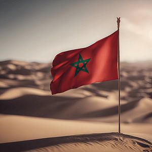 Marokkanische Flagge in der Saharah von Michiel de Ruiter