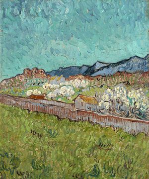 Vincent van Gogh, Gezicht op de Alpilles