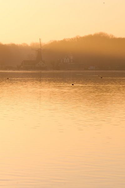 A morning at the Kralingse Plas by Annemieke Klijn