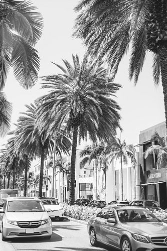 Rodeo Drive LA