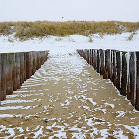 Winter Beach  von Lu's Fotografie