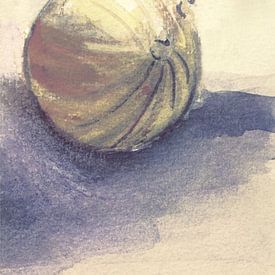 Onion discreet - Still life by Claudia Gründler