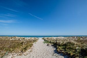 Ostseestrand und Dünen in Prerow