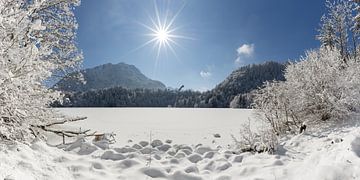 Een zonnige winterdag aan de Freibergsee van Walter G. Allgöwer