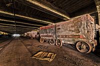 Fossilized past