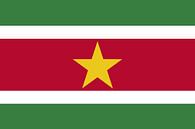 Surinaamse vlag van De Vlaggenshop thumbnail