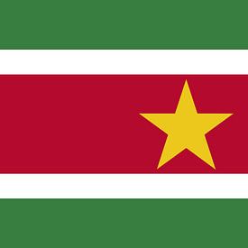 Surinamische Flagge von De Vlaggenshop