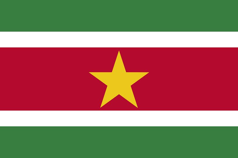 Surinaamse vlag van De Vlaggenshop