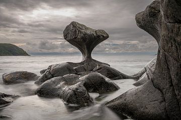 A natural sculpture by Gerry van Roosmalen