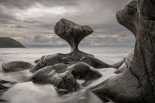 Een natuurlijk sculptuur
