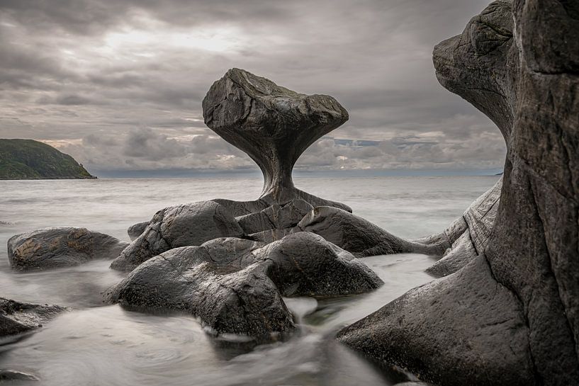 A natural sculpture by Gerry van Roosmalen