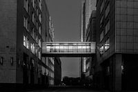 Belliardstraat