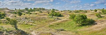 Panoramic view of the Dutch dunes