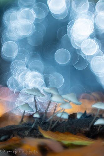 Sous les feux de la rampe sur Marjorie Ruts