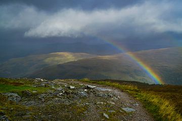 Regenbogenlandschaft von Willemijn Wolthaus