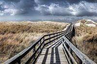 Sentier en planches de bois à travers les dunes de Sylt jusqu'à la plage