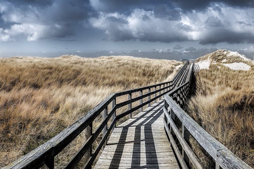 Wooden plank path through the dunes of Sylt to the beach by Voss photography