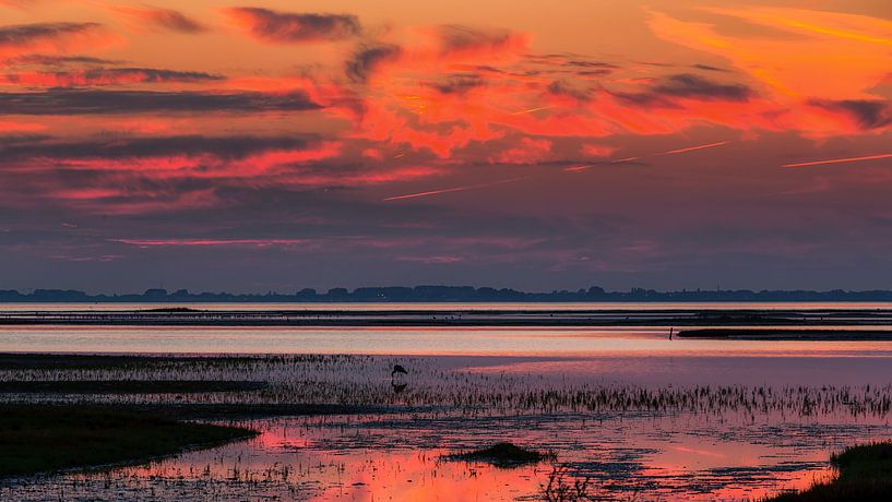 Laatste dag licht boven natuur gebied by Bram van Broekhoven