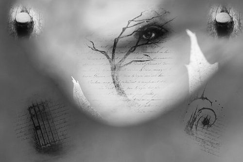 Oog abstract