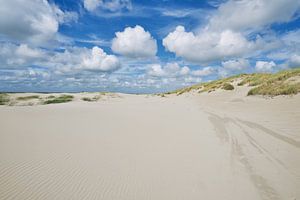 Plage de la mer du Nord avec des structures de sable pendant une tempête sur eric van der eijk