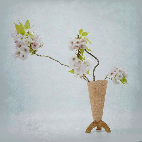 Lente stilleven met bloesmtakken . Spring still-life.