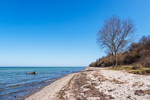 Strand an der Küste der Ostsee auf der Insel Poel