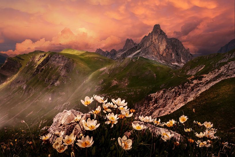 zonsondergang van Alex Neumayer