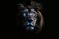 Impressive lion with hypnotic blue eyes