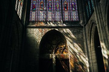 Stained Glass III by Steven Goovaerts