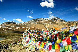 Landschaft mit Gebetsfahnen - Ladakh von Theo Molenaar