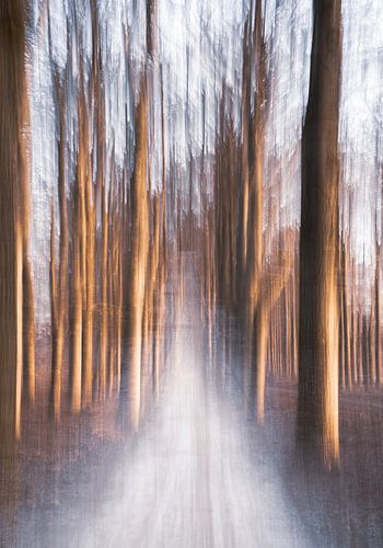 Planken Wambuis part 63