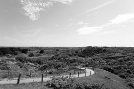 Pictures of Spiekeroog, an East Frisian island in the North Sea. by Bianca Meyering Fotos - BMF
